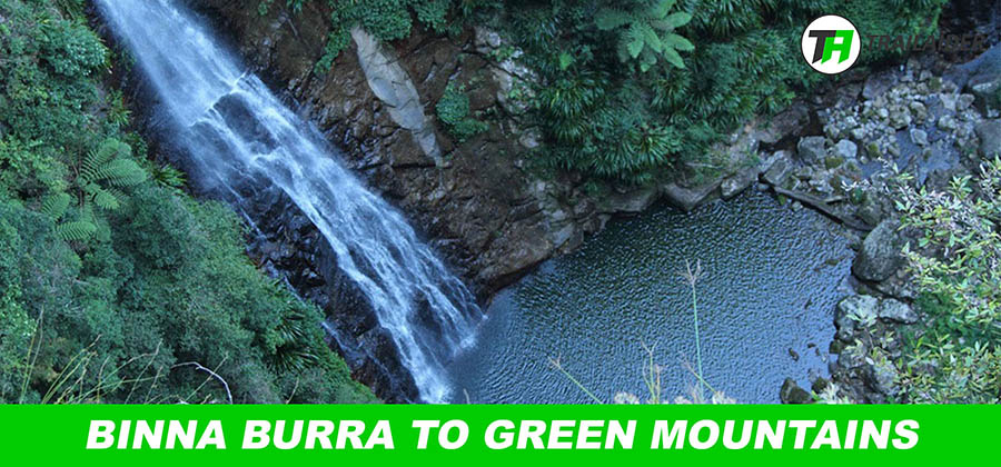 Binna Burra to Green Mountains (O'Reilly's), Queensland