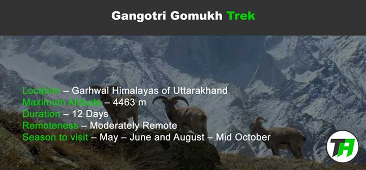Gangotri Gomukh Trek