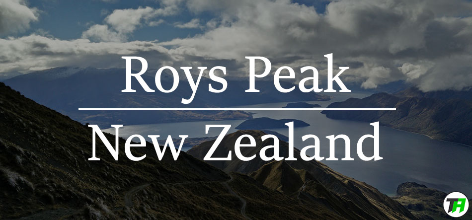 Roys Peak,best New Zealand hikes