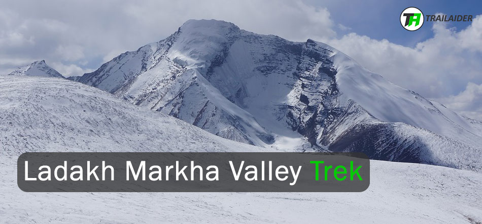 Markha Valley Trek, Best Treks in Ladakh